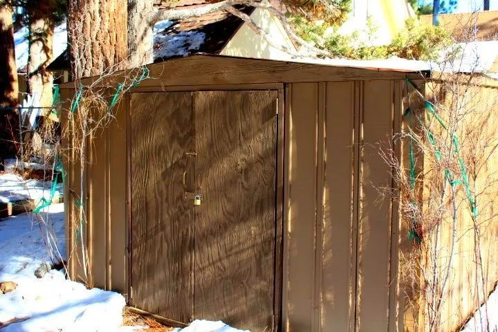 928 W Aeroplane Boulevard, Big Bear, California 92314