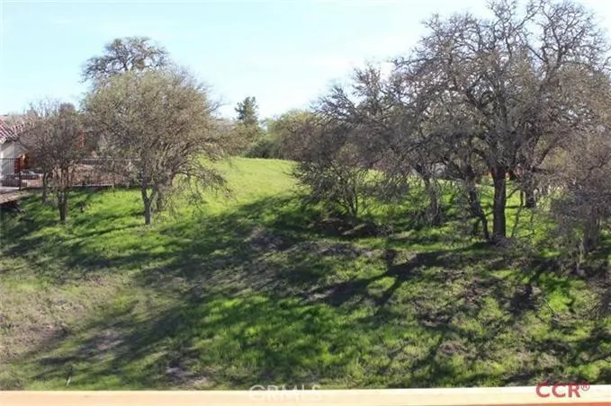 Back of lot - Green space