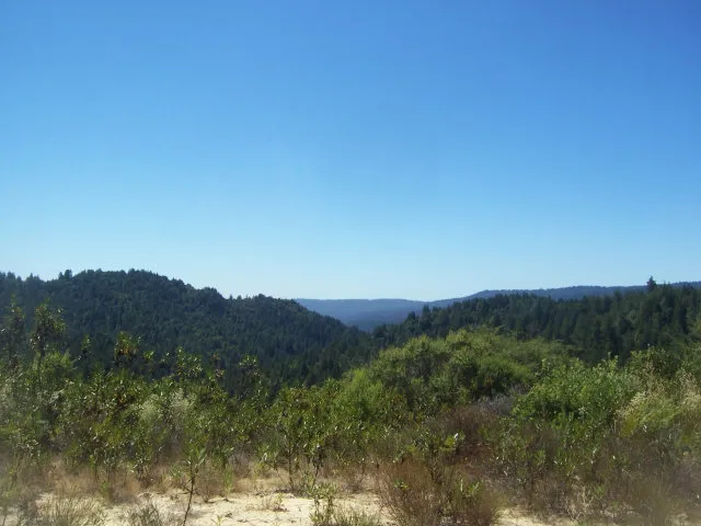12845 Love Creek Road, Ben Lomond, California 95005