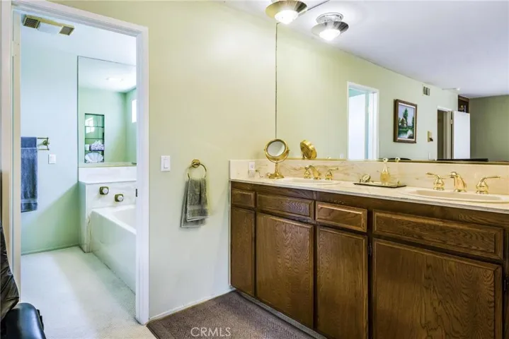Master bathroom with large spa tub.
