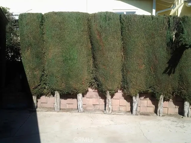 very private yard
