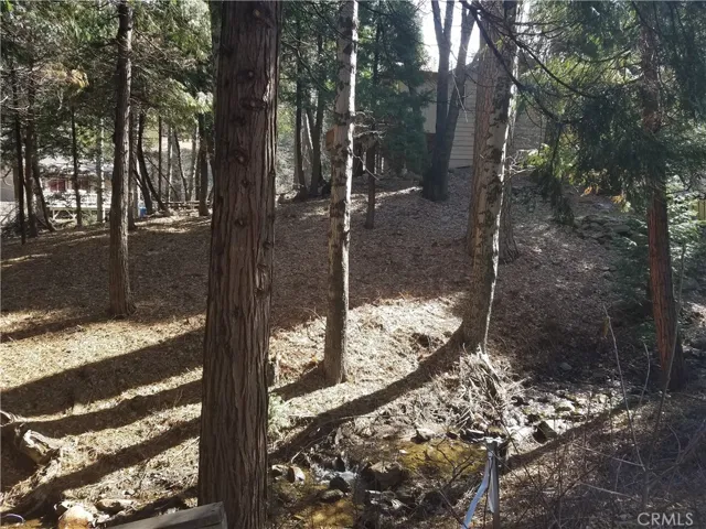 0 Dart Canyon Road, Crestline, California 92325
