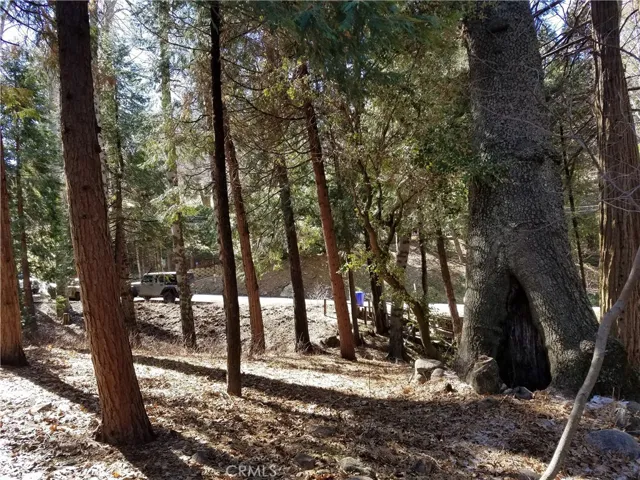 0 Dart Canyon Road, Crestline, California 92325