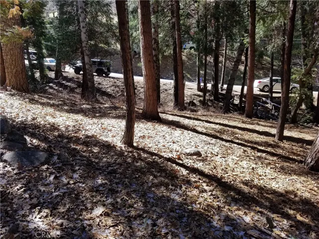 0 Dart Canyon Road, Crestline, California 92325