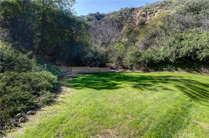 Your 'extended' Back Yard.