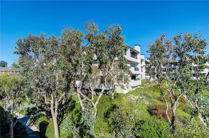Views of Trees and slopes from the Terrace....