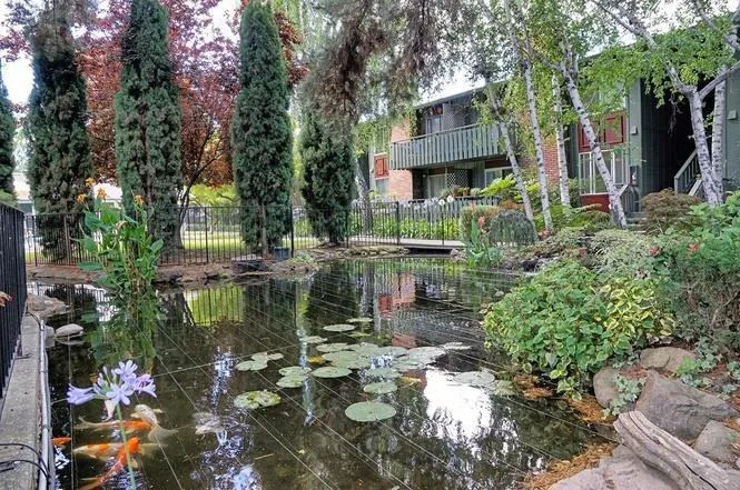 99 E Middlefield Road 34, Mountain View, California 94043