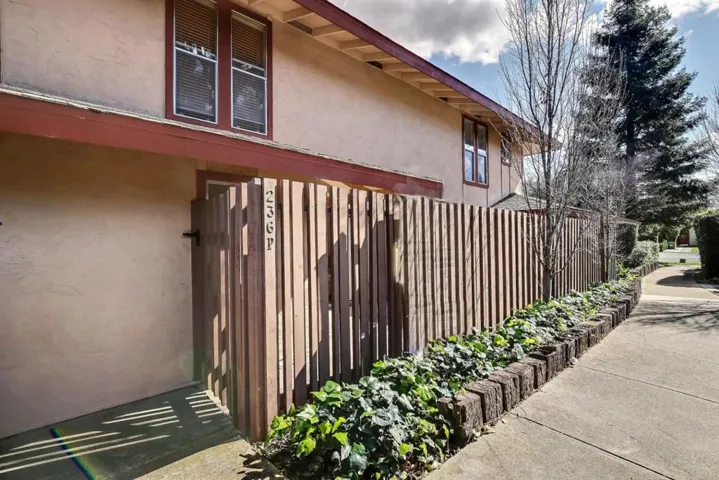 236 E Red Oak Drive P, Sunnyvale, California 94086