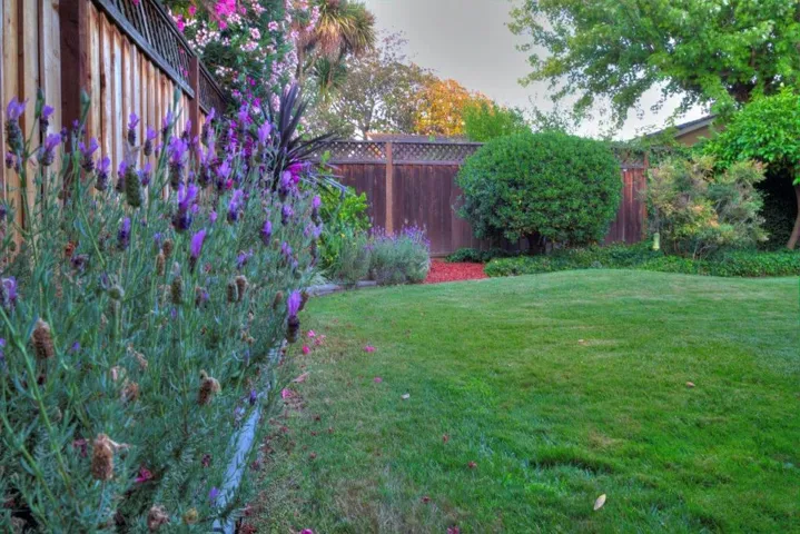 1054 Savannah Drive, San Jose, California 95117