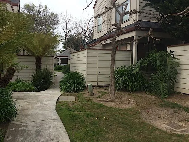 3823 Brommer Street, Santa Cruz, California 95062