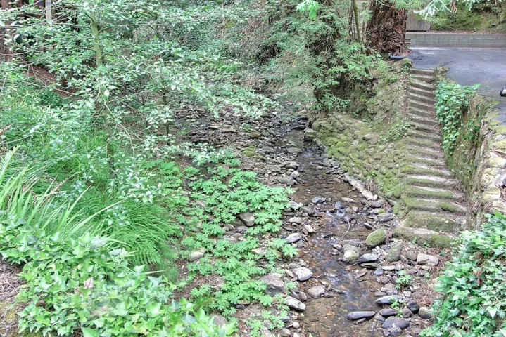 10380 Love Creek Road, Ben Lomond, California 95005