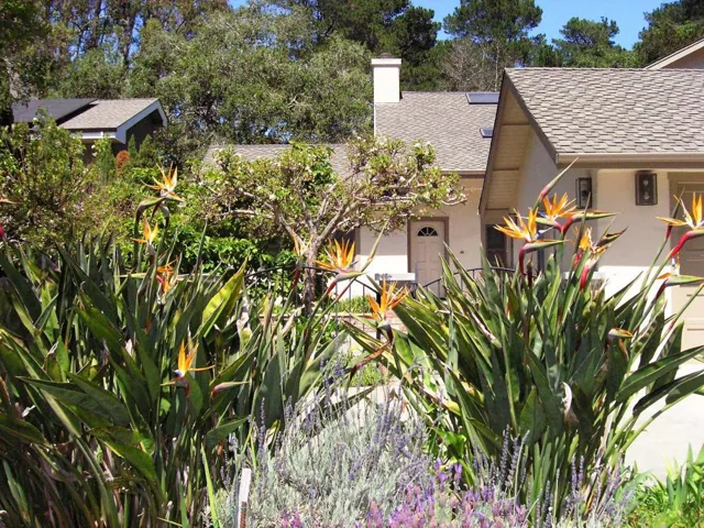 890 Pinetree Lane, Aptos, California 95003