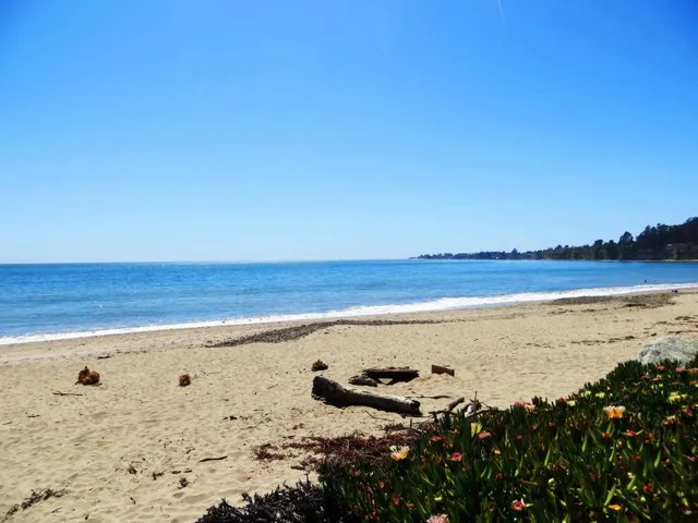 890 Pinetree Lane, Aptos, California 95003