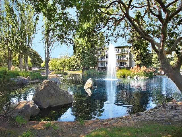 820 N Delaware Street 209, San Mateo, California 94401