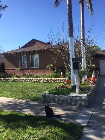 Front view