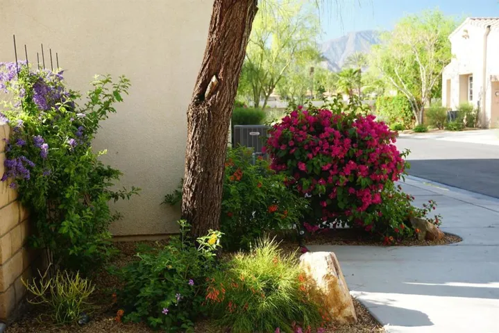 79338 Cool Reflection, La Quinta, California 92253