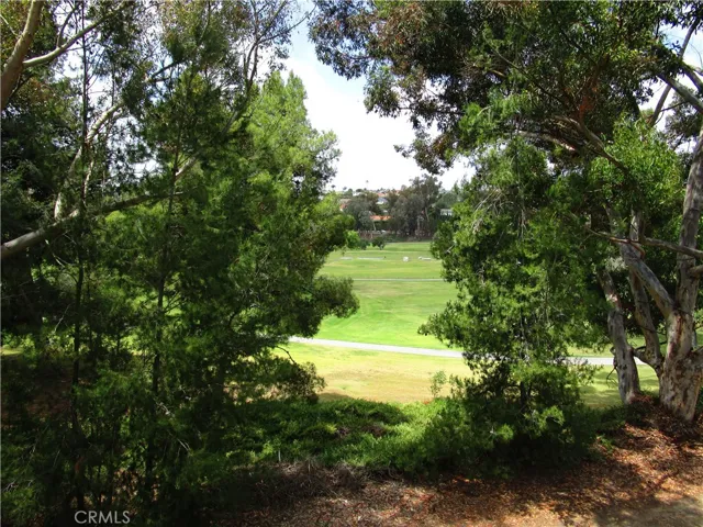 23565 Indian Wells, Mission Viejo, California 92692