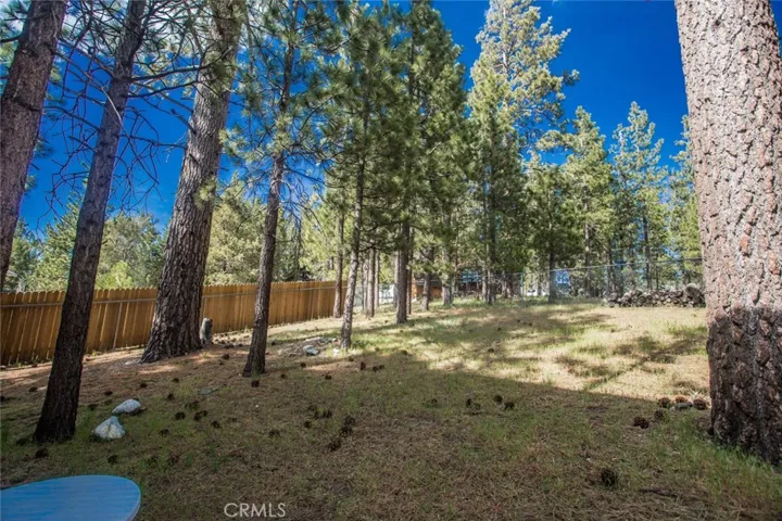 247 S Eagle Drive, Big Bear, California 92315