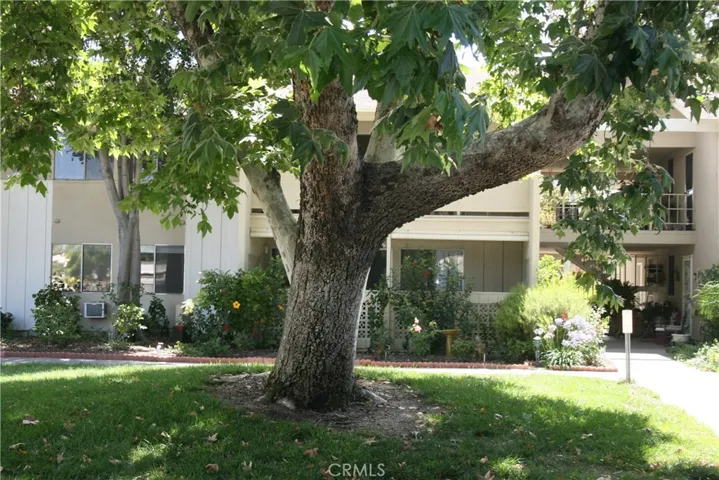 766 Calle Aragon C, Laguna Woods, California 92637