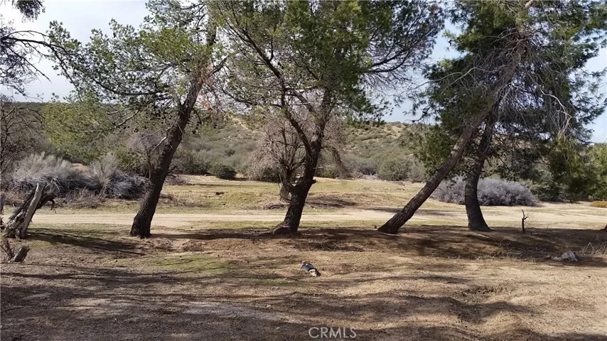 10962 Lincroft Road, Oak Hills, California 92344
