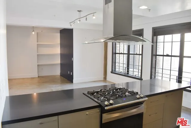 810 S Spring Street 1104, Los Angeles, California 90014