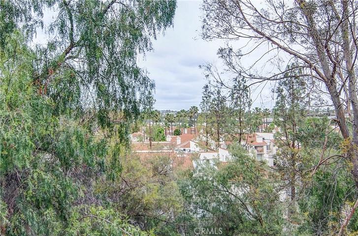 TEREES AND SKY- what a pleasant view from living areas and rear bedroom!