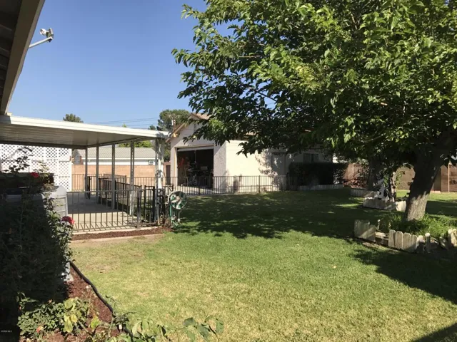 Rear Yard 1