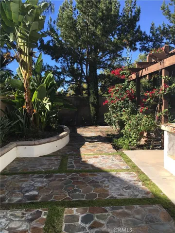 part of backyard