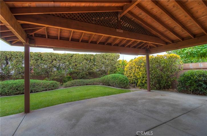 Greenery, Privacy and Shade: Have it all in the large Back Yard.