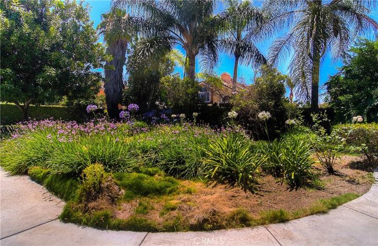 13818 Elgers Street, Cerritos, California 90703