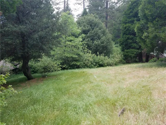 0 Zurich Drive, Crestline, California 92325
