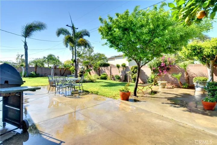 View of the lush bakyard
