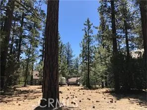 540 Division, Big Bear, California 92314