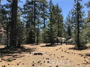 540 Division, Big Bear, California 92314