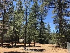 540 Division, Big Bear, California 92314