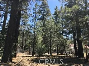 540 Division, Big Bear, California 92314