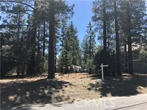 540 Division, Big Bear, California 92314