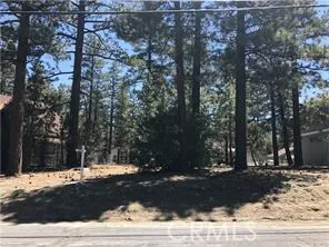 540 Division, Big Bear, California 92314