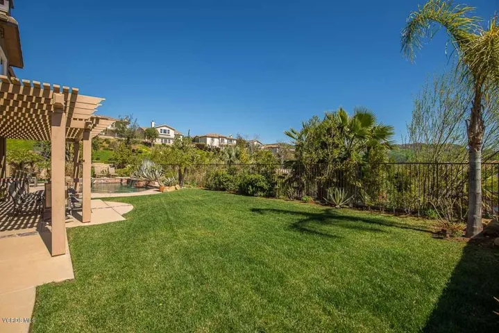 Grassy Yard
