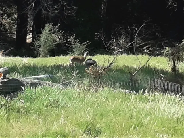 30985 Old City Creek Road, Running Springs, California 92382