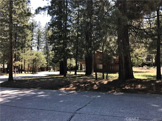 605 San Gorgonio, Big Bear, California 92315