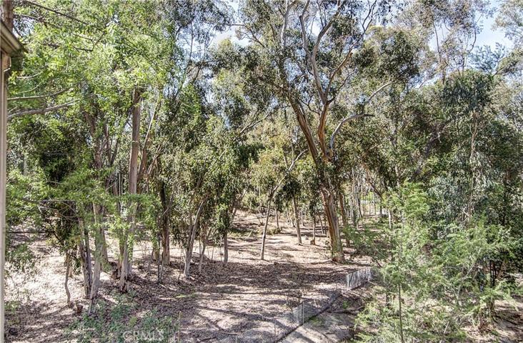 22275 Vista Verde Drive, Lake Forest, California 92630