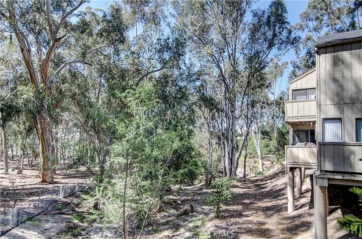 22275 Vista Verde Drive, Lake Forest, California 92630
