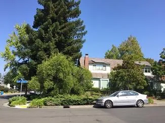 10380 Lockwood Drive, Cupertino, California 95014