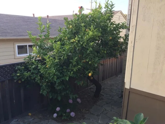 24036 Carmelita Drive, Hayward, California 94541