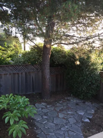24036 Carmelita Drive, Hayward, California 94541