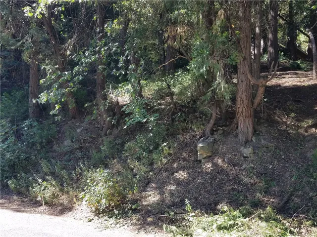 0 Brookside Road, Crestline, California 92325