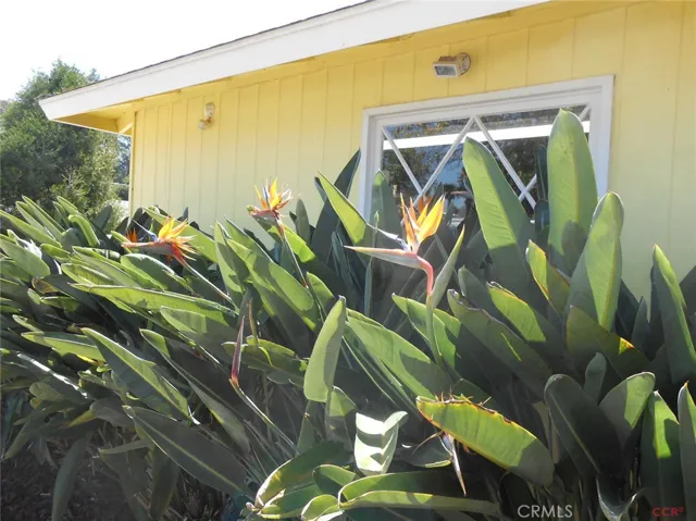 1777 Pinecove Drive, San Luis Obispo, California 93405