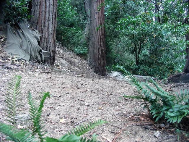21978 Waters Drive, Cedarpines Park, California 92322