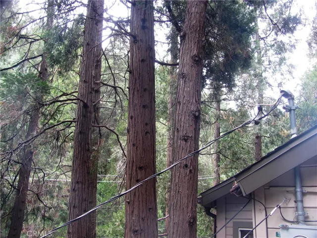21978 Waters Drive, Cedarpines Park, California 92322